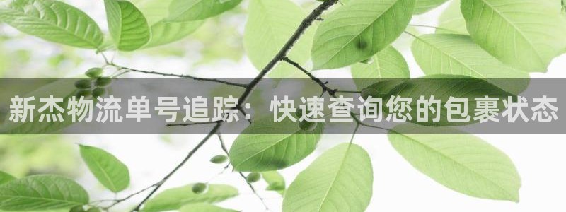 28圈官方版正版