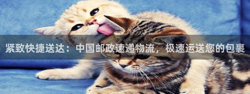 28圈cn：紧致快捷送达：中国邮政速