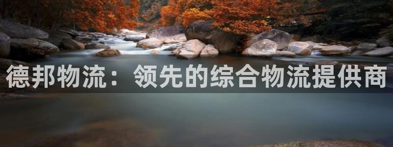 28圈ccm游戏：德邦物流：领先的综