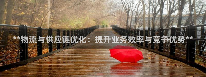 28圈官方官网：**物流与供应链优化
