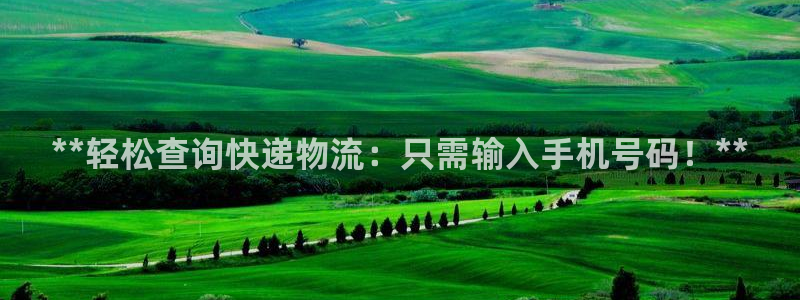 28圈p图上分下款通道