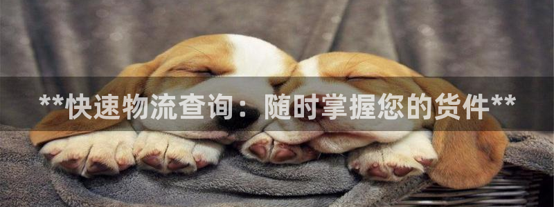 28圈充值：**快速物流查询：随时掌
