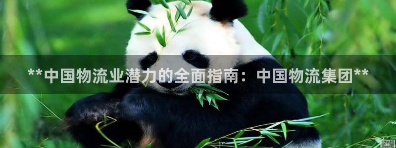 28圈是干嘛的