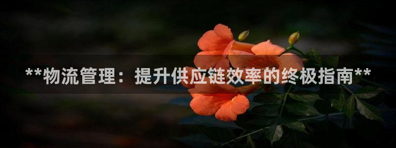 28圈.ccmpc29官网版