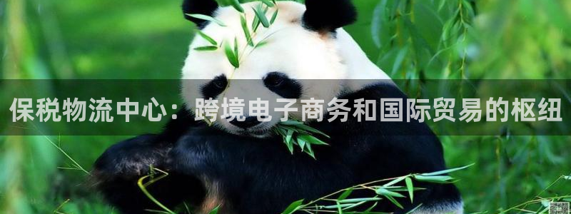 28圈充值金额随便