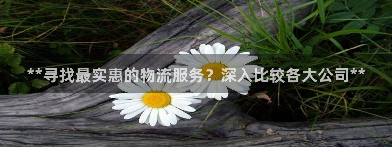 28圈p图上分下款通道