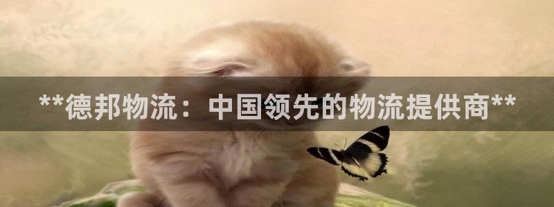 28圈黑款