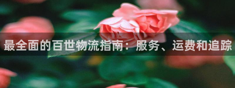 28圈娱乐官网网页下载