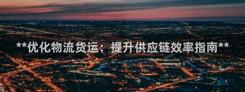 28圈登录：**优化物流货运：提升供