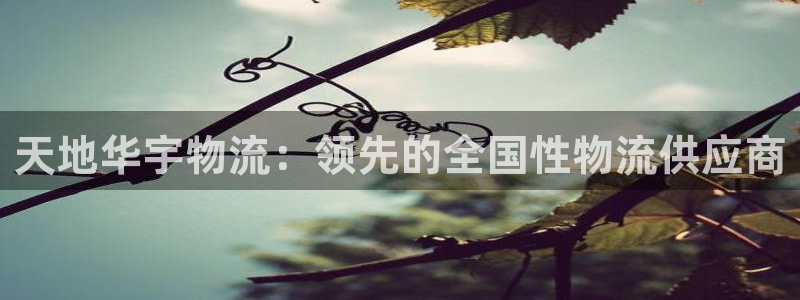 28圈app注册地址：天地华宇物流：