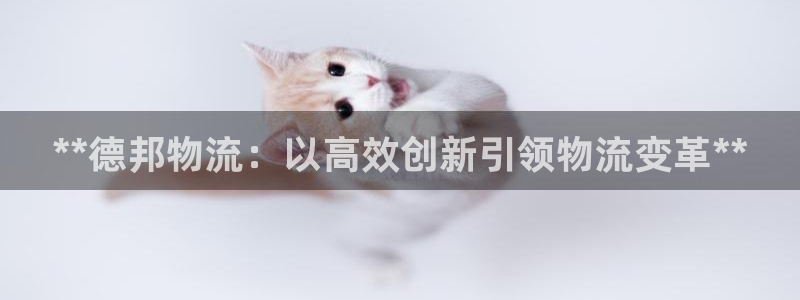 28圈注册送：**德邦物流：以高效创