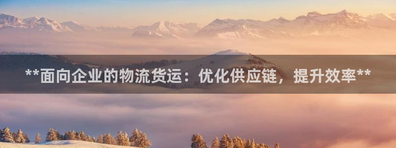 28圈图片：**面向企业的物流货运：