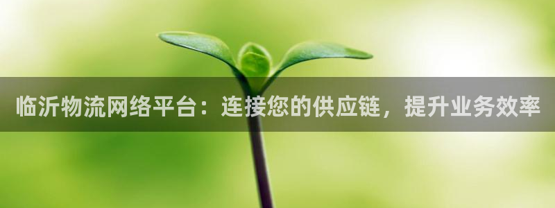28圈pg麻将胡了2老是空转：临沂物