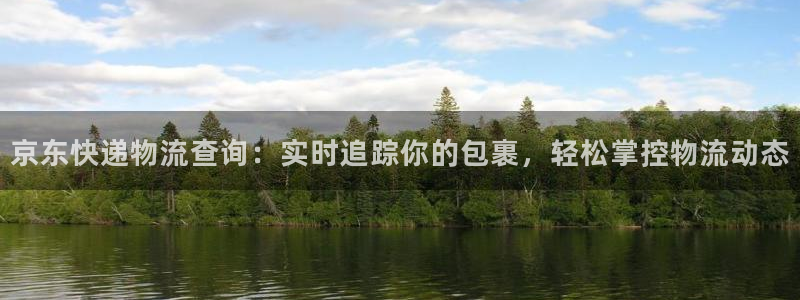 28圈预测：京东快递物流查询：实时追