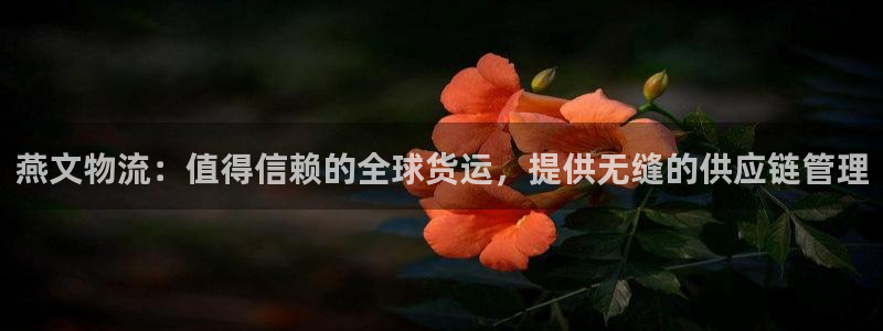28圈龙虎