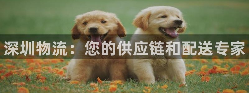 28圈二维码：深圳物流：您的供应链和