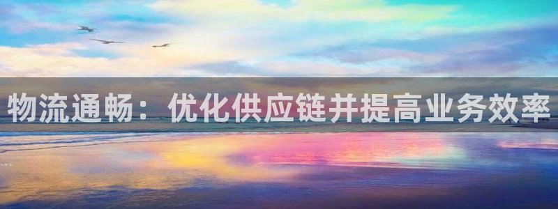 28圈注册流程：物流通畅：优化供应链