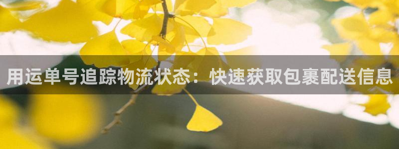 28圈是正规软件吗：用运单号追踪物流