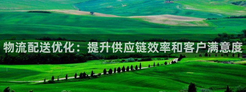 28圈注册登录链接：物流配送优化：提