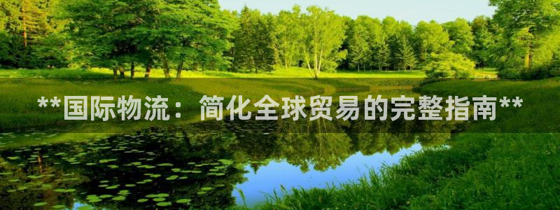28圈PG电子游戏：**国际物流：简