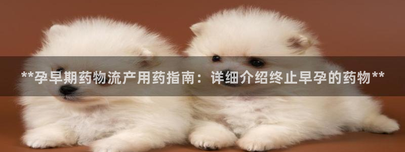 28圈链接