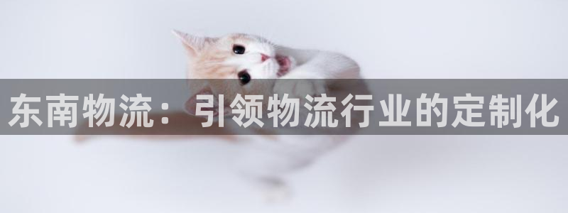 28圈注册网站多少：东南物流：引领物