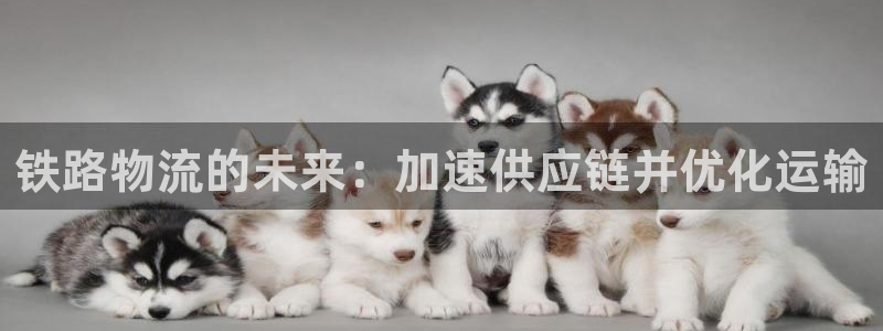 28圈ccm游戏：铁路物流的未来：加