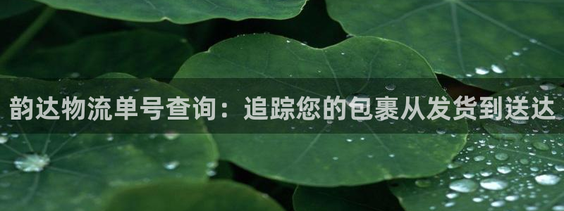 28圈注册官网：韵达物流单号查询：追