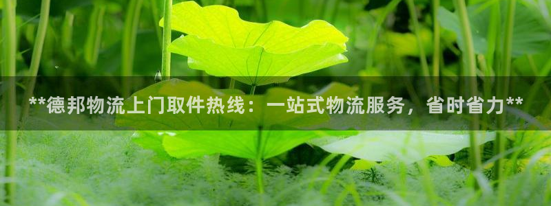 28圈APP是干什么的