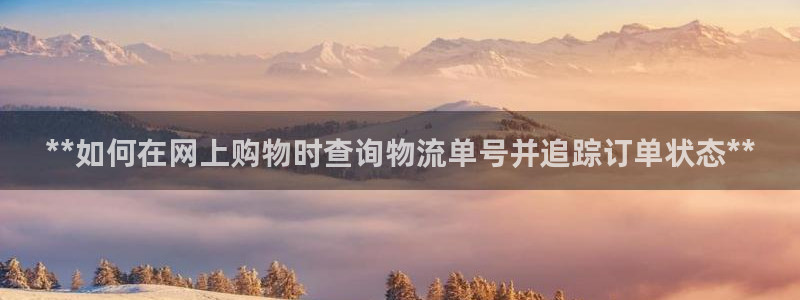 28圈吧：**如何在网上购物时查询物