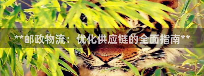 28圈平台注册：**邮政物流：优化供