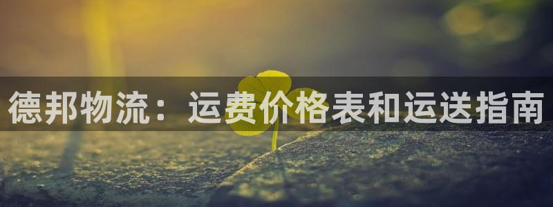 28圈口戒指是多大：德邦物流：运费价