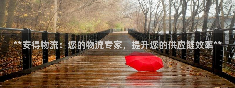 28圈是什么软件：**安得物流：您的