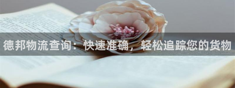 28圈.ccmpc28