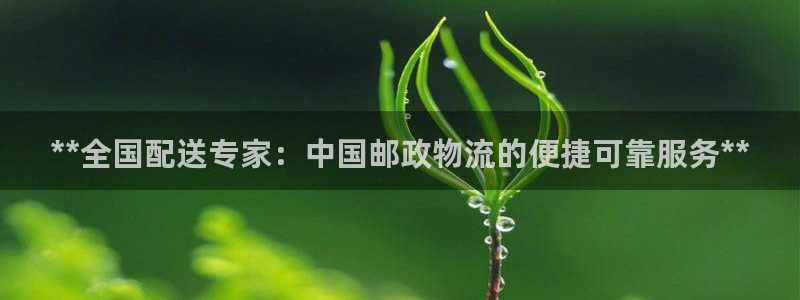 28圈预测加拿大师准