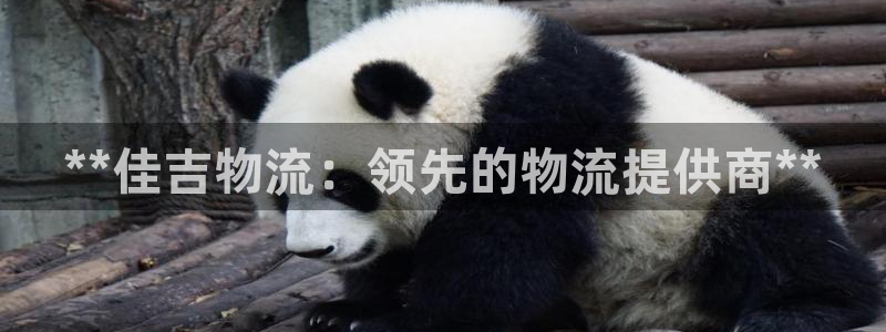28圈违法吗：**佳吉物流：领先的物