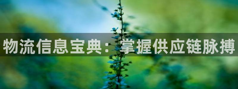 28圈不给提现：物流信息宝典：掌握供