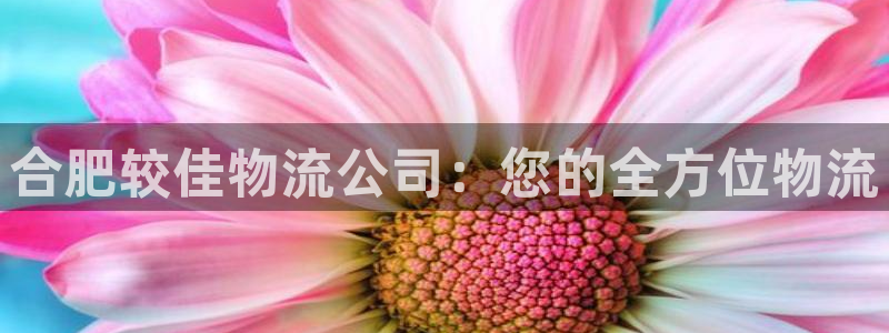 28圈充值不到账什么原因