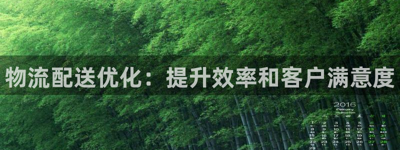 28圈.ccm正版：物流配送优化：提