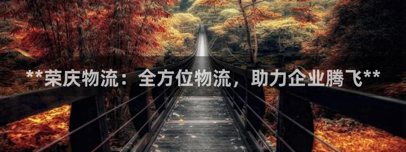28圈最稳打法：**荣庆物流：全方位