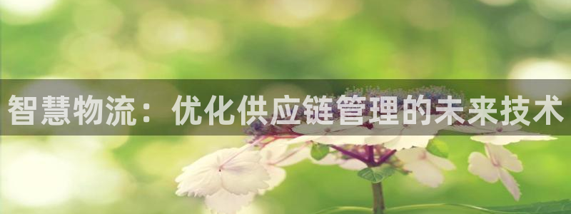 28圈加拿大能提现吗：智慧物流：优化