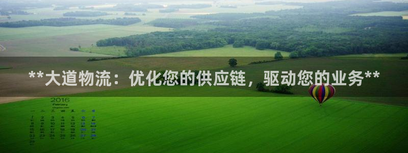 28圈软件：**大道物流：优化您的供