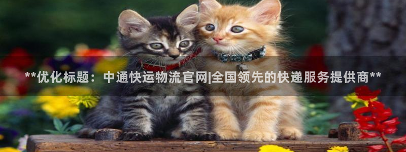 28圈游戏最新版：**优化标题：中通