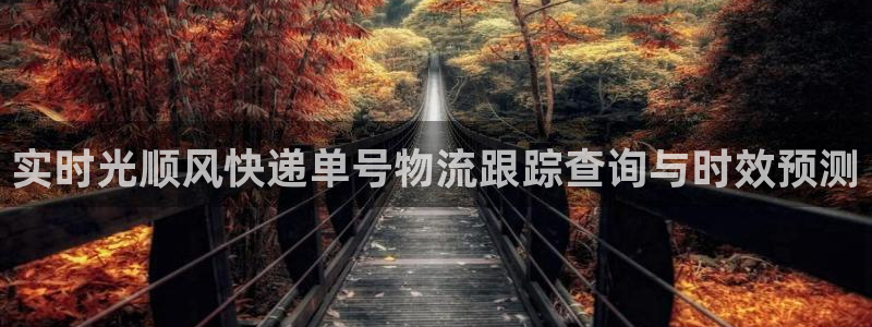加拿大28圈注册链接：实时光顺风快递