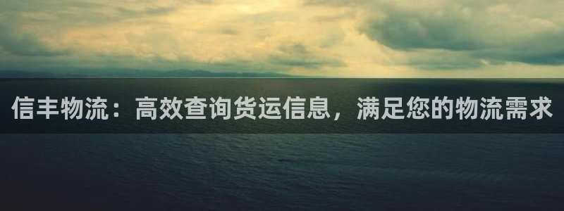 28圈如何看计划：信丰物流：高效查询