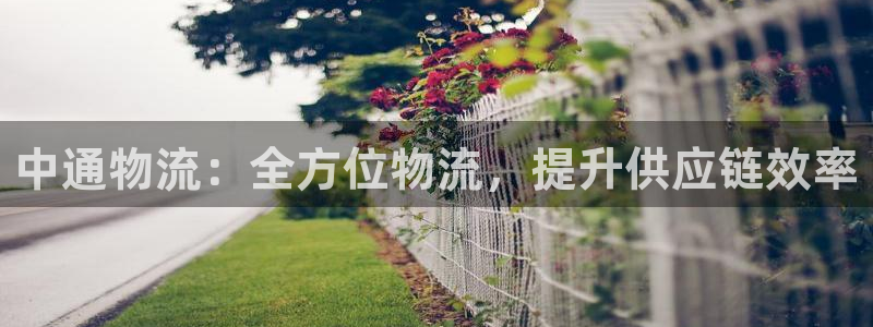 28圈电子游戏