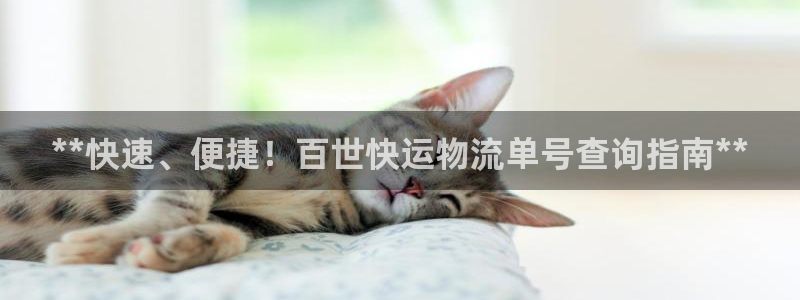 28圈注册网站链接怎么弄：**快速、