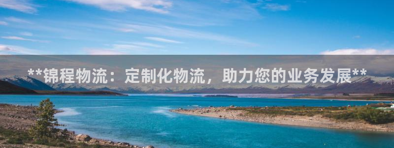 28圈官方版网站：**锦程物流：定制
