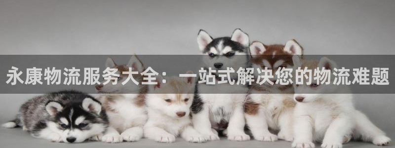 28圈推广链接是多少：永康物流服务大