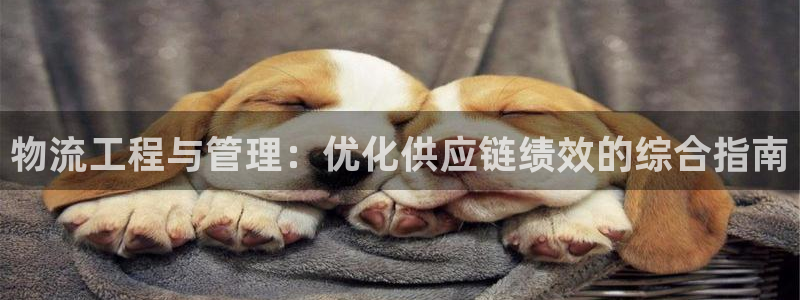 28圈.ccm官网